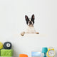 Boston Terrier Wall Decal