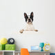 Boston Terrier Wall Decal