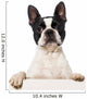 Boston Terrier Wall Decal