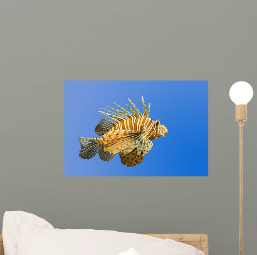 Lionfish on Blue Background Wall Mural