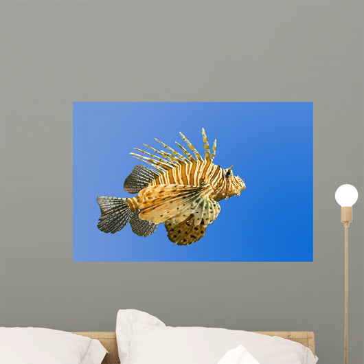 Lionfish on Blue Background Wall Mural