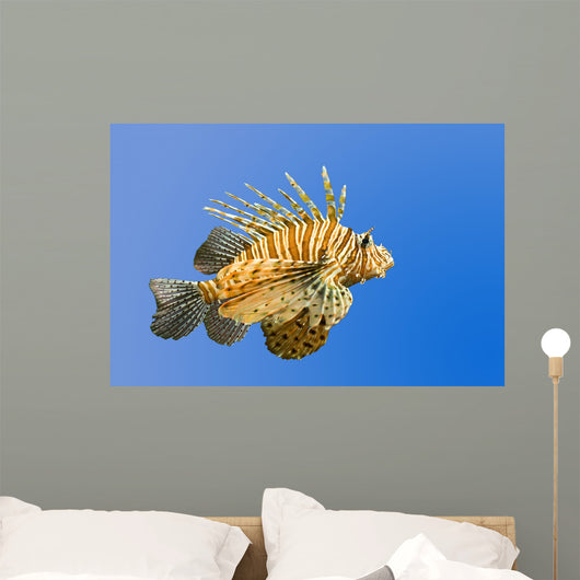 Lionfish on Blue Background Wall Mural