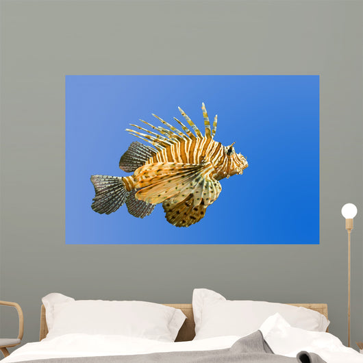 Lionfish on Blue Background Wall Mural