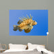 Lionfish on Blue Background Wall Mural