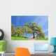 Oak Trees Spring Wall Decal