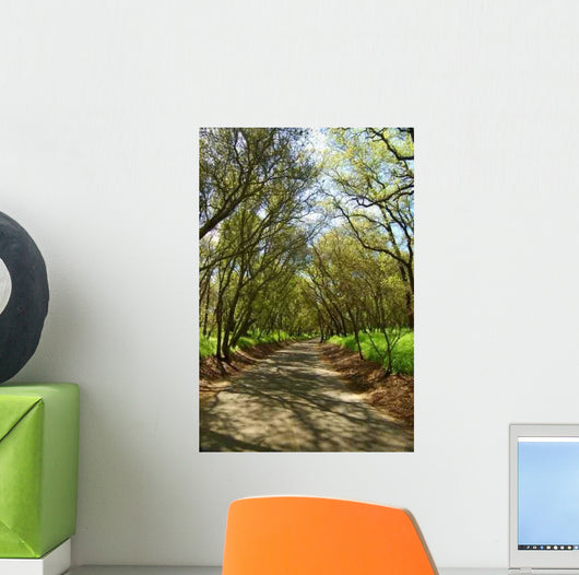 Forest Trail Wall Decal