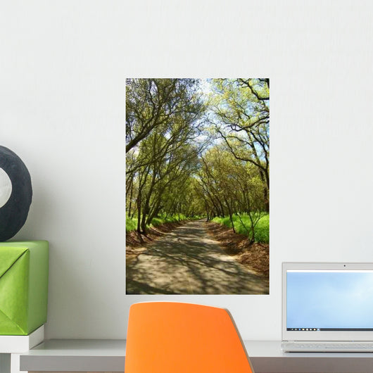 Forest Trail Wall Decal