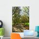 Forest Trail Wall Decal