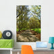 Forest Trail Wall Decal