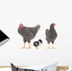 grey hens 