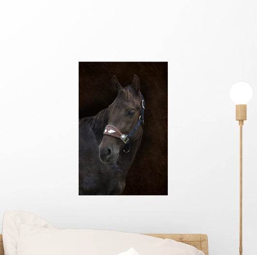 Brown Horse Brown Wall Decal