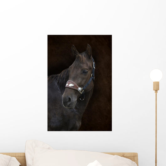 Brown Horse Brown Wall Decal