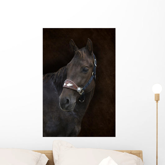 Brown Horse Brown Wall Decal
