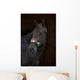 Brown Horse Brown Wall Decal