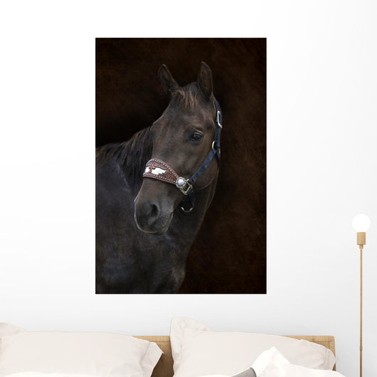 Brown Horse Brown Wall Decal