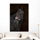Brown Horse Brown Wall Decal