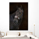 Brown Horse Brown Wall Decal