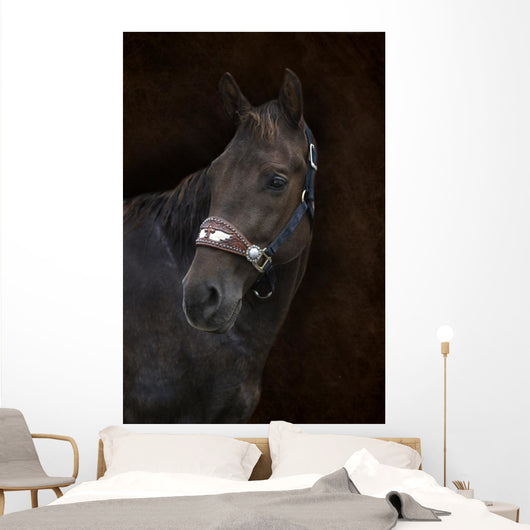 Brown Horse Brown Wall Decal
