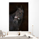 Brown Horse Brown Wall Decal