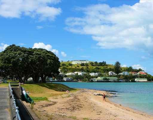 Devonport Wall Decal