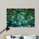 Colorful peacock feathers,Shallow Dof 