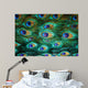 Colorful peacock feathers,Shallow Dof 