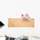 Pig with board 