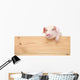 Pig with board 