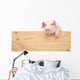 Pig with board 