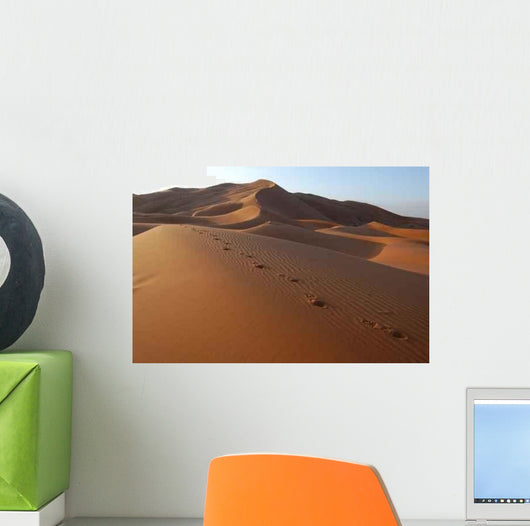 Human Footsteps Sand Sahara Wall Decal