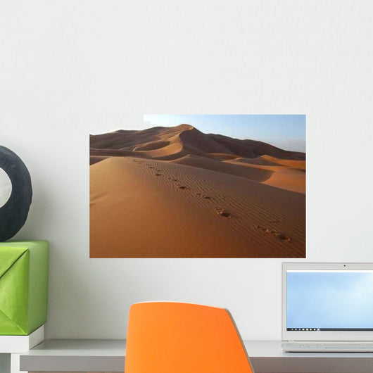 Human Footsteps Sand Sahara Wall Decal