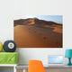 Human Footsteps Sand Sahara Wall Decal