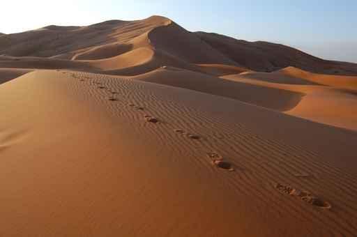 Human Footsteps Sand Sahara Wall Decal