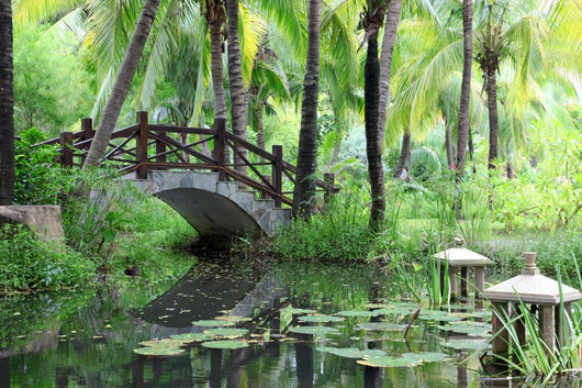 classic chinese garden, south China 