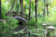 classic chinese garden, south China 
