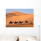Camel Caravan Going Sand Wall Decal