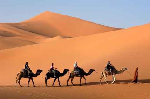 Camel Caravan Going Sand Wall Decal