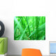 Grass macro Wall Mural
