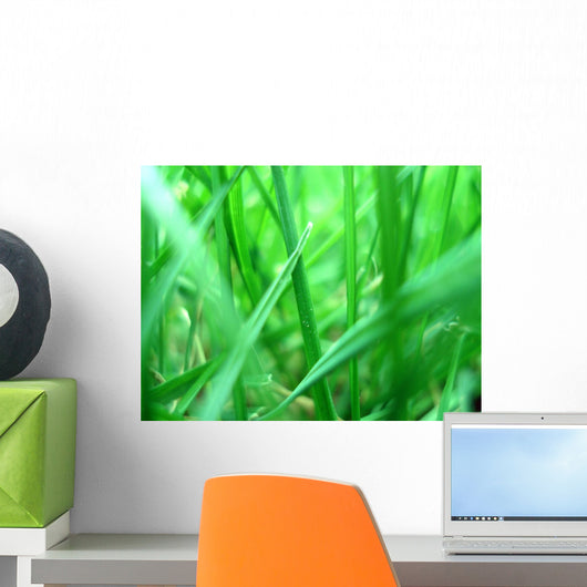 Grass macro Wall Mural