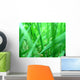 Grass macro Wall Mural