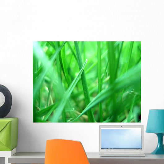 Grass macro Wall Mural