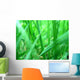 Grass macro Wall Mural
