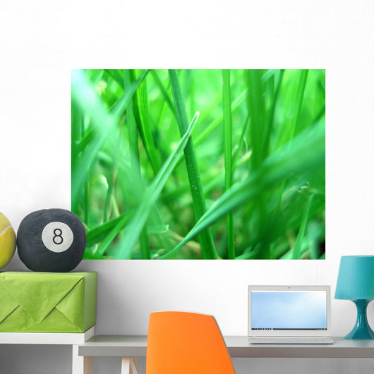 Grass macro Wall Mural
