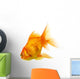 Gold Fish on White B 