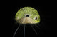rail tunnel Wall Mural