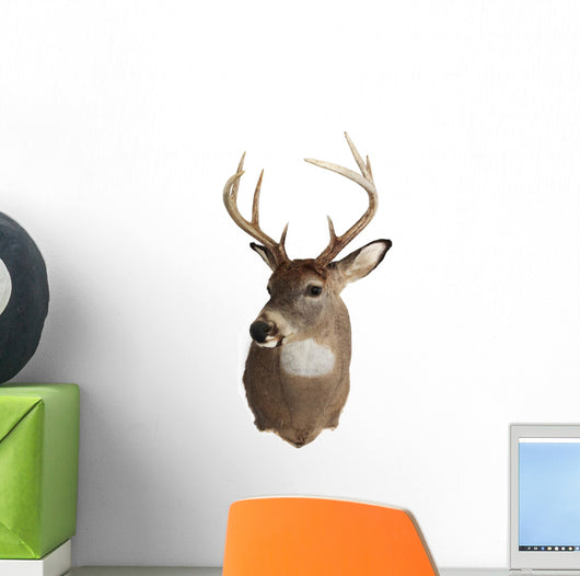 Trophy Buck 