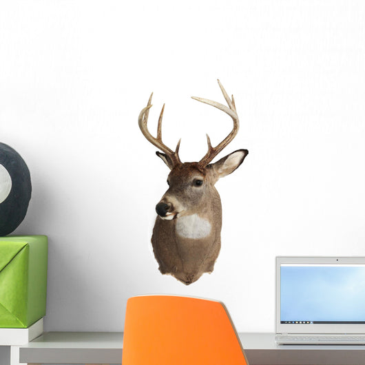 Trophy Buck 
