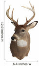 Trophy Buck 