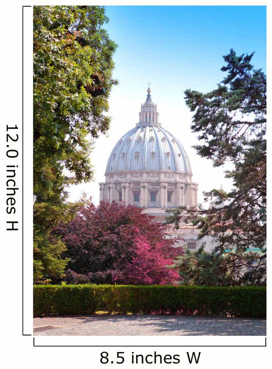 View at the St Peter's Basilica from the Vatican Gardens 