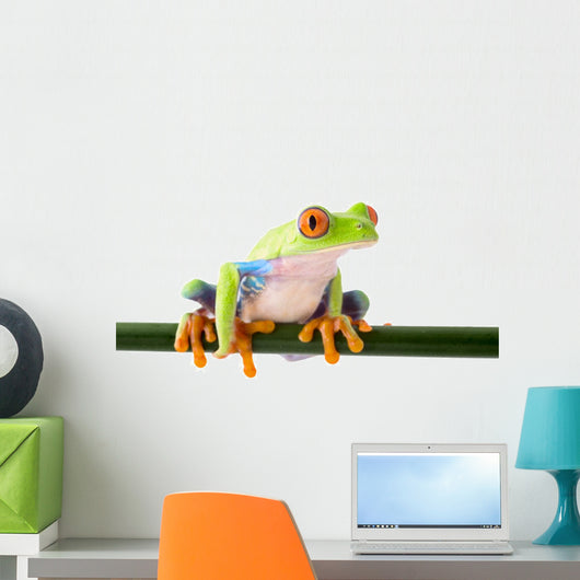 red eyed treefrog Wall Decal